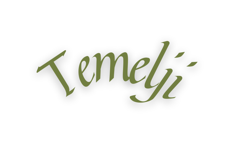 Temelji